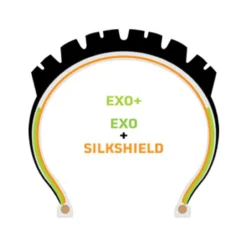 Assegai EXO+ TR MTB-Reifen (29