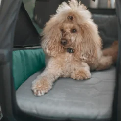 Bexey Dog Bed L Hundebett für Hundeanhänger