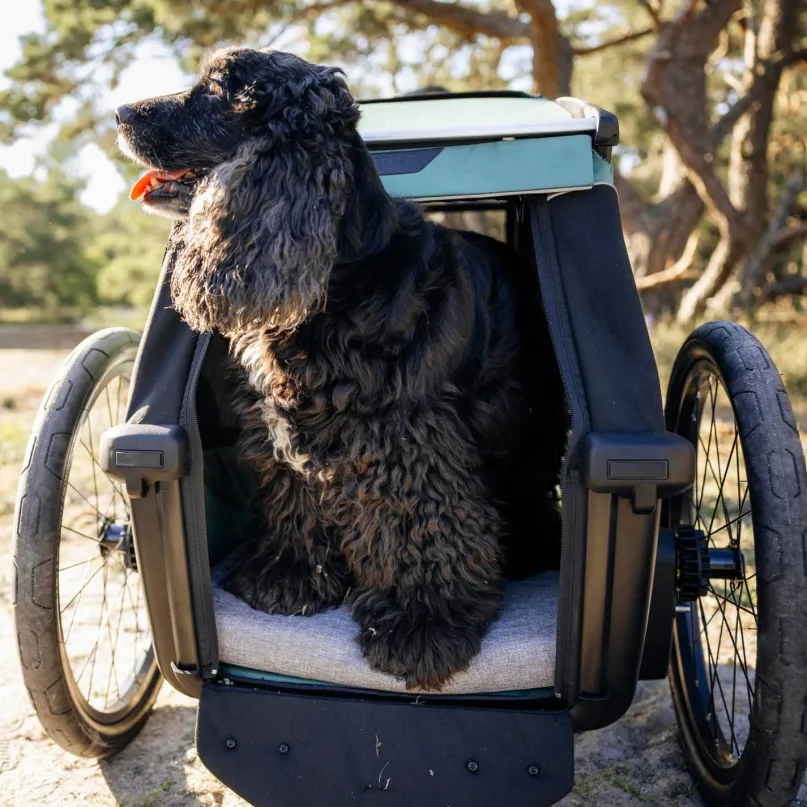 Bexey Dog Bed L Hundebett für Hundeanhänger