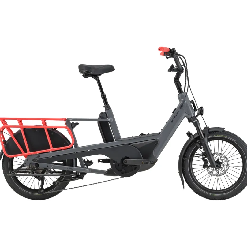 Cargowagen Neo 2 E-Bike Lastenrad 20" grau