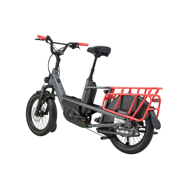 Cargowagen Neo 2 E-Bike Lastenrad 20" grau