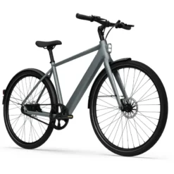 CGO 600 Pro E-Bike City Bike Herren 28