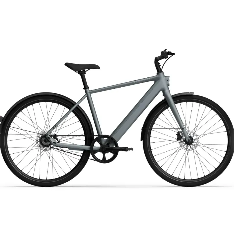 CGO 600 Pro E-Bike City Bike Herren 28" grau