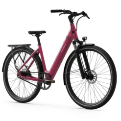 CGO 800 S E-Bike City Bike Tiefeinsteiger 28