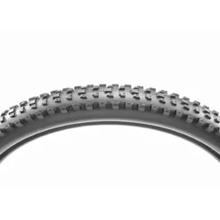 Dissector EXO TR 3C MaxxTerra MTB-Reifen (29")