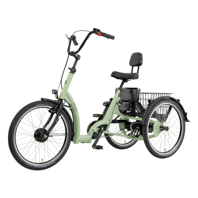 Eno FM E-Bike Dreirad 24" grün