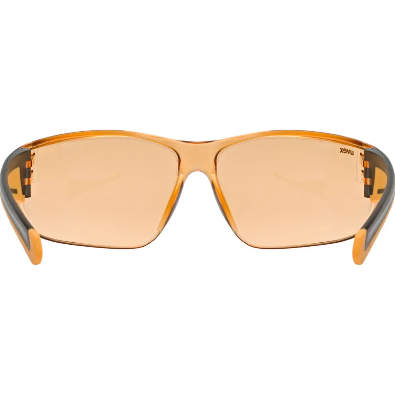 Equate Fahrradbrille