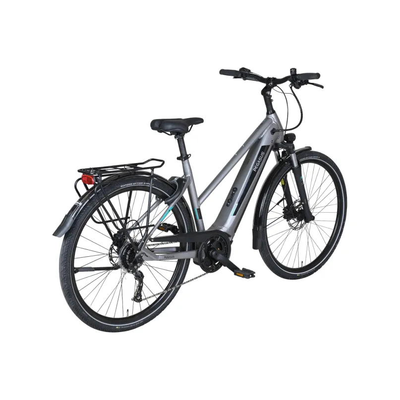 Evo CX 750 E-Bike Trekkingrad Trapez 28" silber