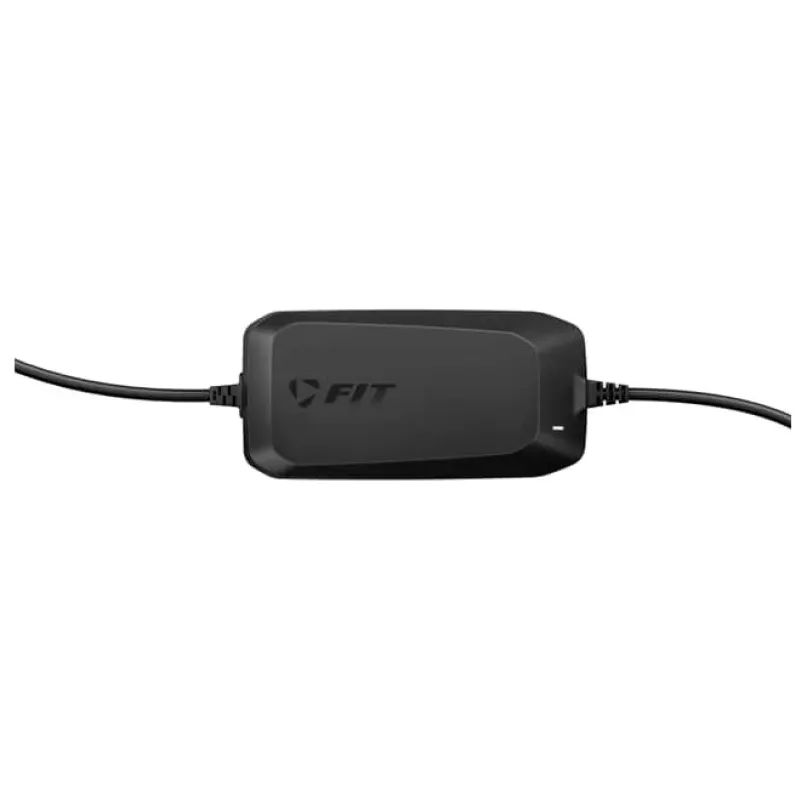 Fast Charger 36 V E-Bike Ladegerät