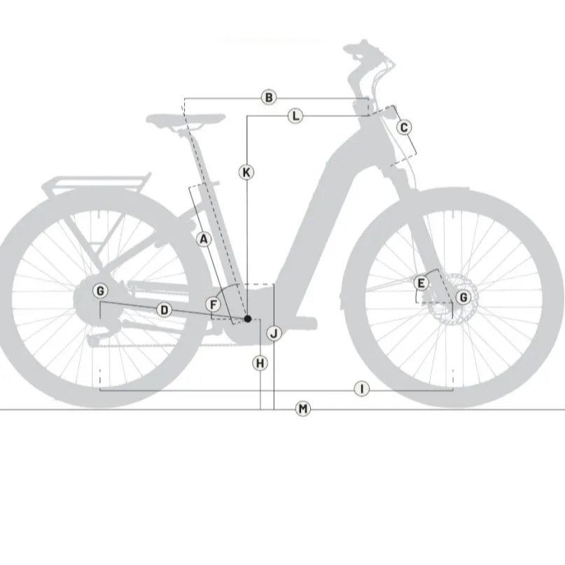 Gotour 5.12 CX E-Bike Trekkingrad Herren 29" grün