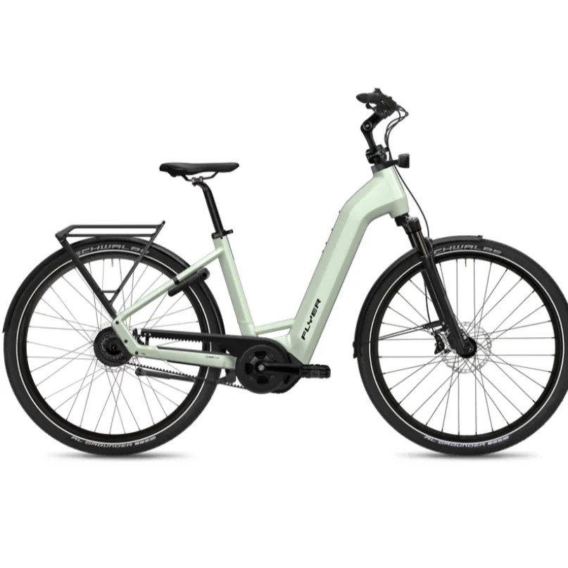 Gotour 5.43 E-Bike Cityrad Tiefeinsteiger 29" grün