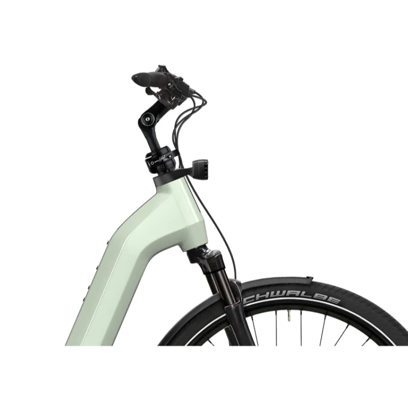 Gotour 5.43 E-Bike Cityrad Tiefeinsteiger 29" grün