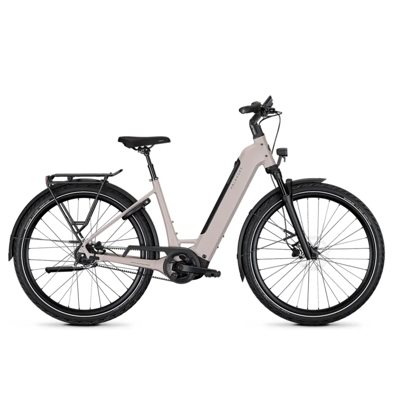 Image 3 Excite Belt RT E-Bike City Bike Tiefeinsteiger 29" grau