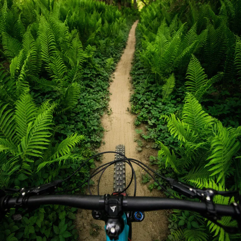Mazza Trail MTB-Reifen (27,5")