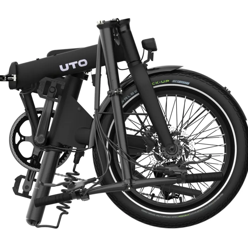 OG20 E-Bike Faltrad 20" schwarz