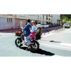 OG200 E-Bike Kompakt Lastenrad 20" silber
