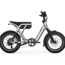 OG200 E-Bike Kompakt Lastenrad 20