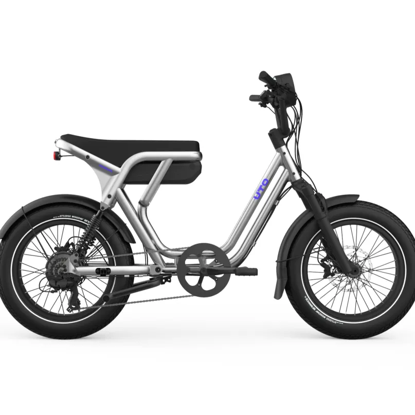 OG200 E-Bike Kompakt Lastenrad 20" silber