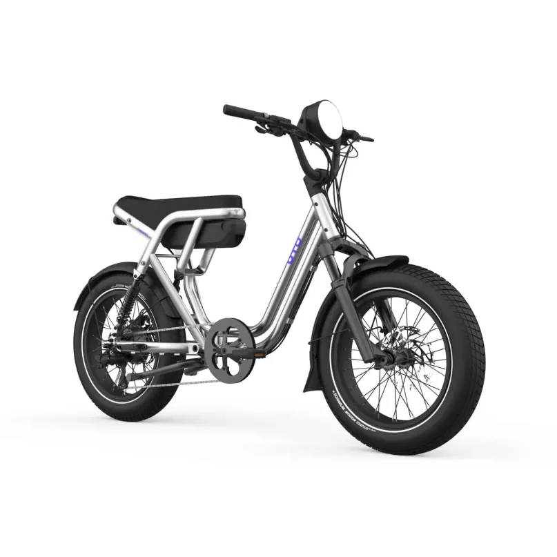 OG200 E-Bike Kompakt Lastenrad 20" silber