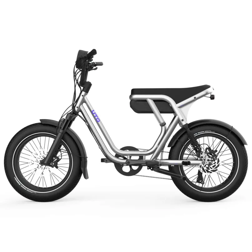 OG200 E-Bike Kompakt Lastenrad 20" silber