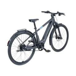 Passage 10 Belt Men E-Bike City Bike Herren 29
