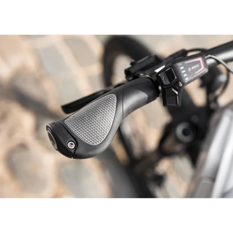 Premio EVO 10 Lite E-Bike Trekkingrad 28" Tiefeinsteiger bronze
