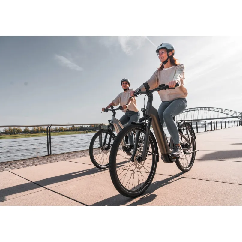 Premio EVO 10 Lite E-Bike Trekkingrad 28" Tiefeinsteiger bronze