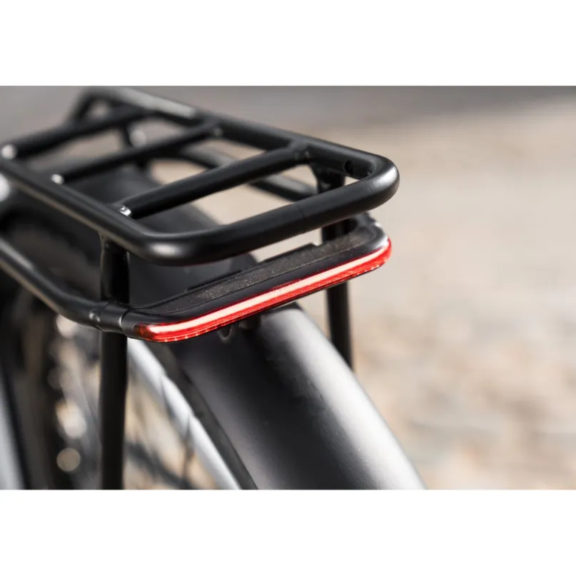 Premio EVO 10 Lite E-Bike Trekkingrad 28" Tiefeinsteiger bronze