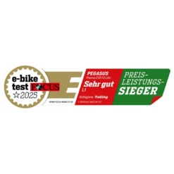 Premio EVO 10 Lite E-Bike Trekkingrad 28" Herren bronze