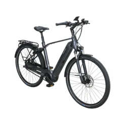 Quadriga CX5 HD Benelux Belt FL E-Bike Trekkingrad Herren 28" grau