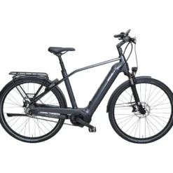 Quadriga CX5 HD Benelux Belt FL E-Bike Trekkingrad Herren 28" grau