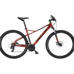 Raptor Disc Mountainbike Hardtail orange