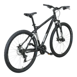 Raptor Disc Mountainbike Hardtail 29