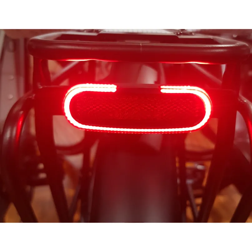 R-100 E-Bike-Rücklicht