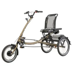 ScooterTrike FM E-Bike Dreirad 16"-20" gold