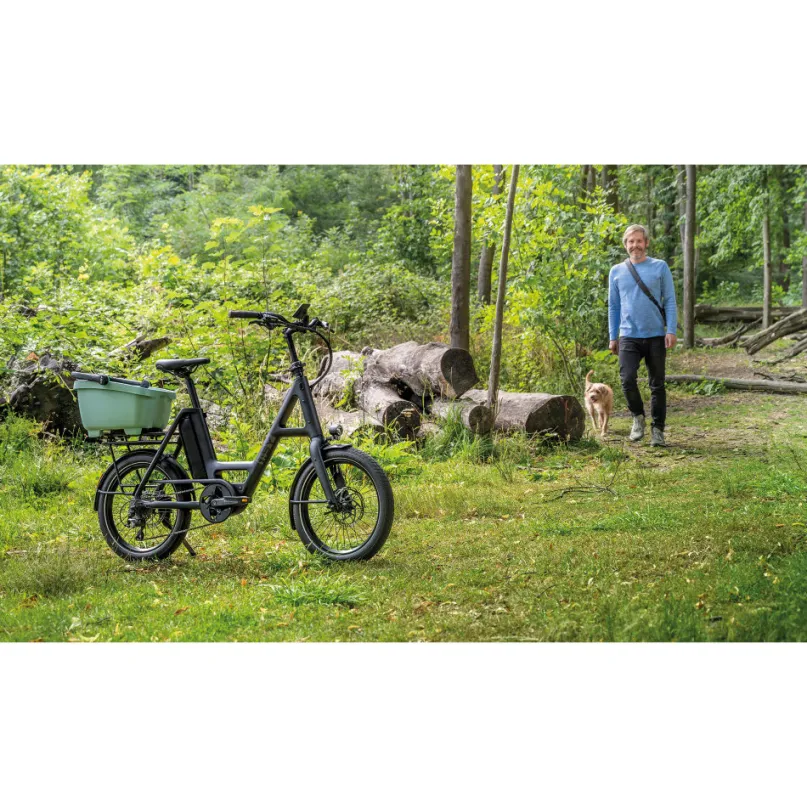 Skyfly S10 Performance SX E-Bike Kompaktrad 20" grün