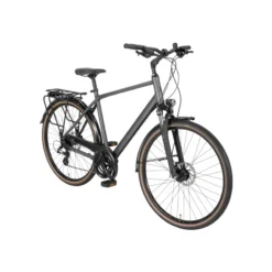 Solero SL Disc LTD Trekkingrad Herren 28" grün