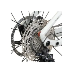 Sonic EVO AM 4 Carbon E-Bike Mountainbike Fully 29