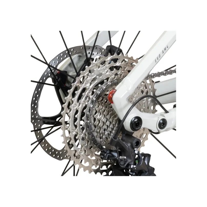 Sonic EVO AM 4 Carbon E-Bike Mountainbike Fully 29"-27,5" grau