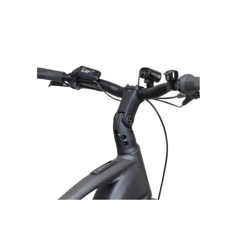 SUB 20 Belt E-Bike Trekkingrad Herren 29" grau