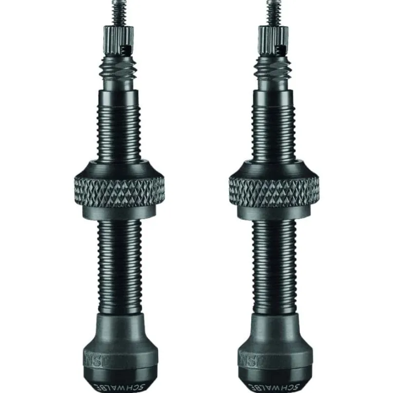 Tubeless-Ventile (Paar)