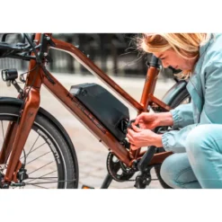 Urbanico Compact 10 E-Bike Kompaktrad 24