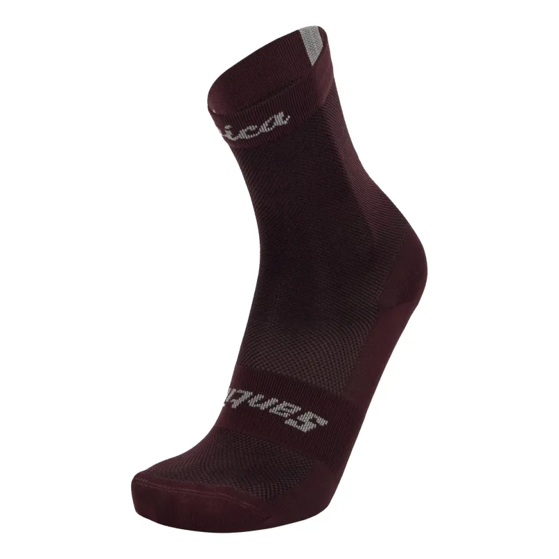 x Eroica Quiete Fahrrad Socken