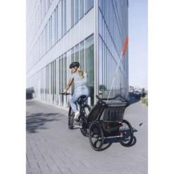 17-X Fahne für Kinderanhänger
